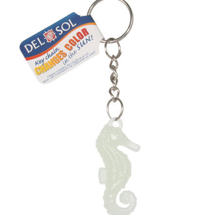 color changing seahorse key chaing indoors
