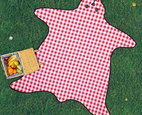 cute bear picnic blanket